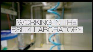 Working in the BSL-4 laboratory