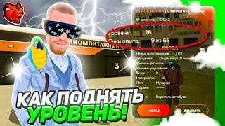 КАК ПОДНЯТЬ УРОВЕНЬ на БЛЕК РАШЕ за ОДИН ДЕНЬ! САМЫЕ НОВЫЕ и ЛЕГКИЕ СПОСОБЫ на БЛЕК РАШЕ!