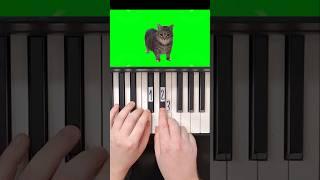 OIIAO Spinning Cat Piano Tutorial #shorts