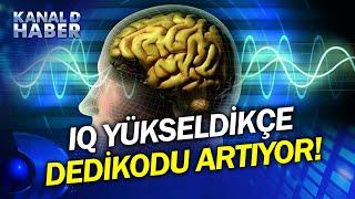 Zeka Seviyesi ve Dedikodu Doğru Orantılı Çıktı! IQ Yükseldikçe Dedikodu İhtiyacı Artıyormuş...