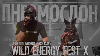 ПНЕВМОСЛОН - 09.06.2023 Wild Energy Fest X (Москва,"BASE club") live