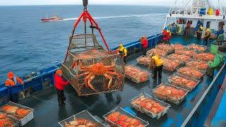 How to Catch Billions of Snow Crabs Like This, The Secret Behind the Dangerous Art of Snow Crabbing!
