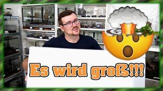 Zurück aus Hamm und viele neue Spinnen mit dabei! | Es wird groß!