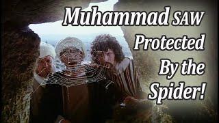 When a Spider Protected Prophet Muhammad's life! | Prophet Muhammad Story | Prophet Stories for Kids