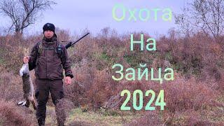 ТАКОГО у меня никогда не было   ОХОТА НА ЗАЙЦА сезон 2024-2025 охота в ЧЕЧНЕ #чечня #hunting#охота