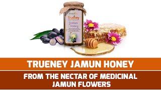 Jamun honey | Trueney | Natures Box | Pure honey | Natural honey | 100% pure and natural honey