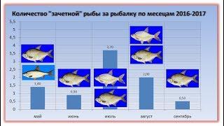 Клев зачетной рыба. Все о рыбалке на Днепре.