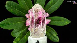 q191 - Silver Light Clear Quartz Crystal