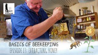 How to extract honey without an extractor | The Bush Bee Man