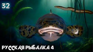 Русская рыбалка 4 - Активный Налим на Волхове. Трофейная точка на Налима и Угря [#32]