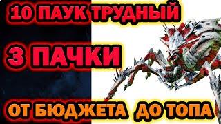 НОВЫЙ ПАУК 3 ПАКА ОТ БЮДЖЕТА ДО ТОПА RAID SHADOW LEGENDS