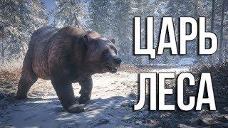 ОХОТА НА МЕДВЕДЯ ► THE HUNTER CALL OF THE WILD [#2]