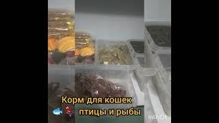 зоомагазин в городе ИСФАРА ОКОЛО БЕРЁЗКА Круг БАХОР  ВСЁ ПО ДОСТУПНЫМ ЦЕНАМ 6.12.2021