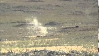 Prairie Dog Impact Shots