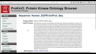 ProKinO: Protein Kinase Ontology