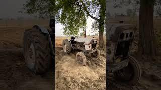 David Brown- Old is Gold  #punjab #agriculture #automobile #yt #farming