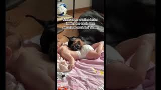 DOBERMANN Reav und meine Tochter ‼️