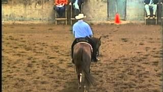 NU MAGNUM CHEX AND CHRIS HULL 2012 TNRHA OPEN FUTURITY