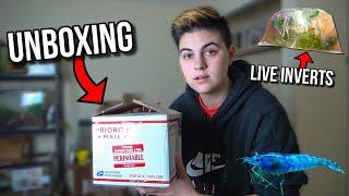 Unboxing LIVE INVERTS From ONLINE FISH STORE For My AQUARIUM!!