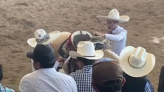 Poderosas yeguas de Pieles dominadas por Enrique Jiménez de 3 Potrillos | Al Aire con Compirri