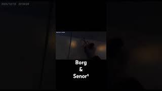 Borg and senor, новое видео уже на канале #borg #graffiti #kasta #streetart #graffitiart #tegging ¹⁸