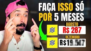 5 PASSOS QUE VOCÊ VAI ME AGRADECER | Primo Pobre