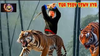 Tua tau tsov tswv xya 24/6/2026