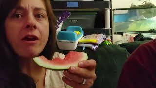 Moon and Stars Watermelon Taste Test Series 2022 Stewpendous Growth