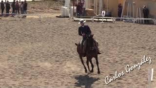 Carlos López Molina & Bandolera V P  Doma