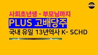 아니 내가 이 ETF를 또 소개할줄이야... 한국판 K-SCHD의 자부심 (PLUS고배당주)