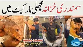 Musa Colony Fish Market in Karachi Seafood  Cheapest Bazaar Karachi 🫴 Price Update