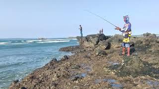 Hunting Predator Fish Braving Stormy Waves 2