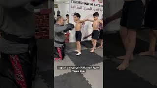 #beirut #lebanon #fitness #fypシ #explore #kungfu #viral #foryou #boxing #explore #اكسبلور #tigersgym