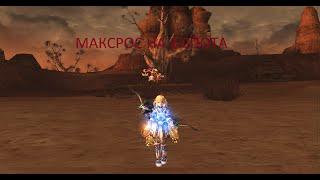 Lineage II ТВОРЕЦ СИЯНИЯ МАКРОС НА ДВА СПОТА