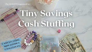 Tiny Savings Challenge Cash Stuffing | Mini and 25 Envelope Challenges | Finishing Challenges!!!