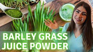 Barley Juice Benefits & Barley Grass Juice Powder Review [The Best Green Juice Powder]