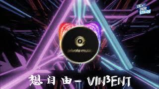 想自由（VIN3ENT Remix）