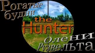 the Hunter. Рогатые будни. №3: "Олени Рузвельта"