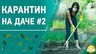 Карантин на даче #2. 6 соток 06.04.2020