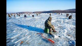 КОРЮШКОВАЯ РЫБАЛКА НА БЕЛОМ МОРЕ, В МЕТЕЛЬ!!!