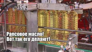 Загружены на 100% почти весь год! Вот как делают рапсовое масло и продают его в Китай