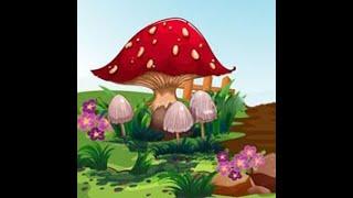 mushroom garden fairy escape video walkthrough