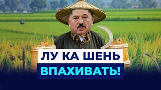 Будущее Беларуси — китайское рабство? Беларуские медики не вернутся в страну.