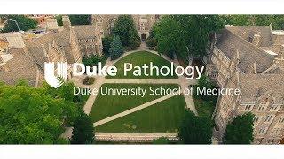 Duke Pathology PhD Program