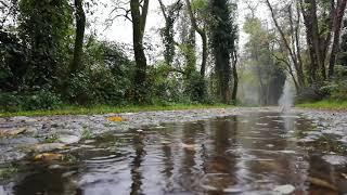 Som de Chuva leve e calma - Som e musica para relaxar, dormir