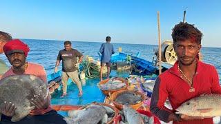 Wow ! First Day We Caught Lot of Emperor Fishes in Deep Sea Fishing | மண்டல் வலை | வெள மீன்கள்