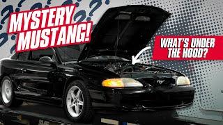 Stroker 302?! Mystery Modded 1995 Mustang GTS Hits the Dyno!