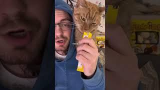 How to start making pet content