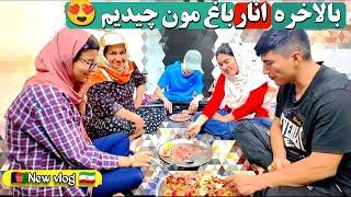 ولاگ روزانه: چیدن انار های داخل حیاط و درست کردن ترشی لوبیا سبز و درست کردن موتور آب خونه 