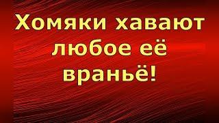 Лена и Ваня LIFE / Хомяки хавают любое её враньё! / Обзор влогов